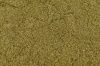  Аюга Туркестанская, сухой экстракт (туркастерон 5%) фото 4 &mdash; Биостандарт