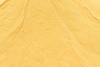 Годжи ягода, сухой экстракт (полисахариды 10%) фото 2 &mdash; Биостандарт