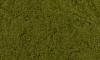 Моринга, сухой экстракт листа (полифенолы 15%) фото 3 &mdash; Биостандарт